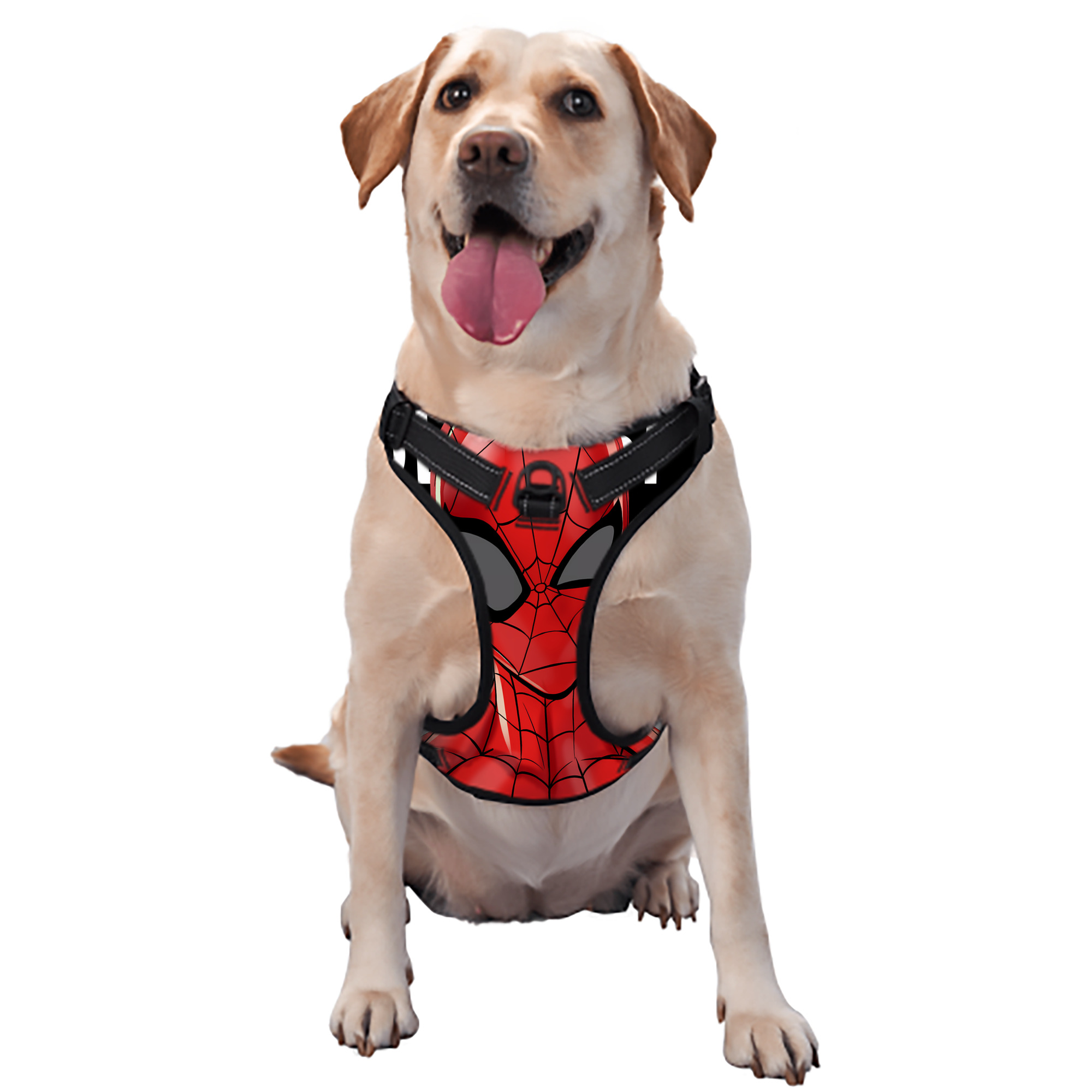 （画像用） Spider Man スパイダーマン ペット用ハーネス
